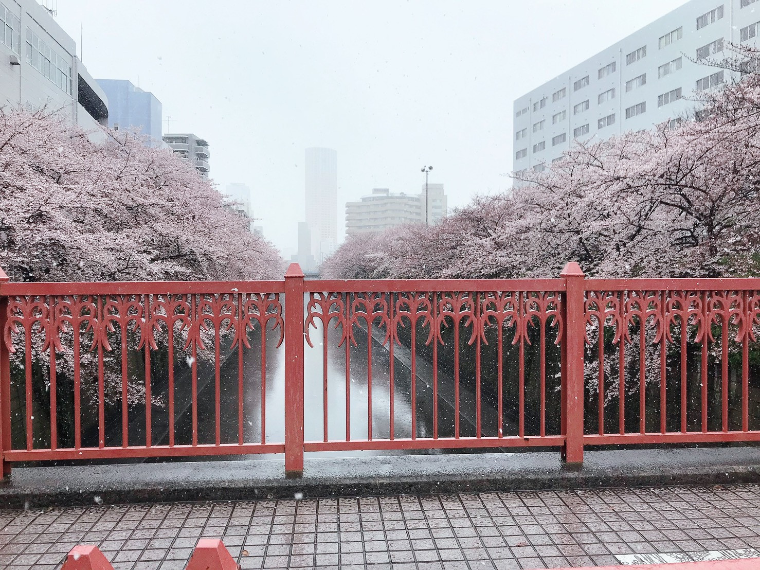 休日の過ごし方